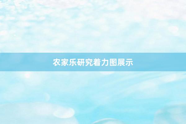 农家乐研究着力图展示